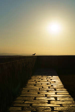 Termoli, historic city in the Campobasso province, Molise, Italy, along the coast of Adriatico seaの写真素材