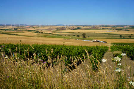 Landscape along the road from Termoli (Campobasso province, Molise) to Serracarpiola (Foggia...