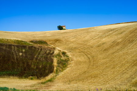 Landscape along the road from Termoli (Campobasso province, Molise) to Serracarpiola (Foggia province, Puglia), Southern Italy, in Juneの写真素材