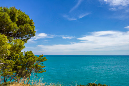 Coast at Vieste, Gargano, Foggia province, Apulia, Italy, in Juneの写真素材