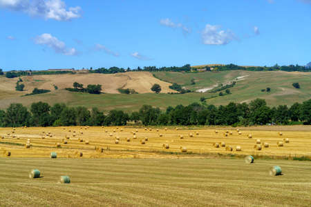 Rural landscape along the Cassia road near Acquapendente, Viterbo province, Lazio, Italy, at summer