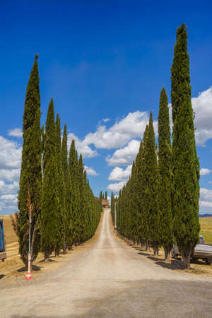 Rural landscape along the Cassia road near Castiglione, Siena province, Tuscany, Italy, at summerの写真素材