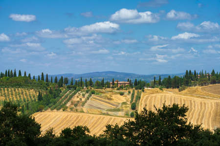 Rural landscape in Val d Orcia, Tuscany, Italy, at summerの写真素材