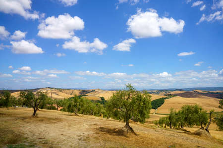 Rural landscape in Val d Orcia, Tuscany, Italy, at summerの写真素材
