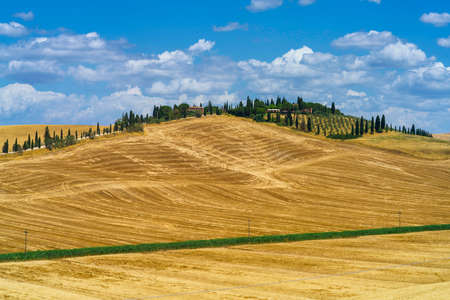 Rural landscape in Val d Orcia, Tuscany, Italy, at summerの写真素材