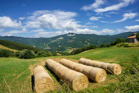 Summer landscape along the road to Passo della Cisa, Appennino, Italy, in the Parma provinceの写真素材