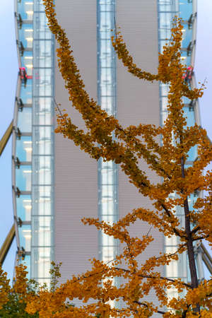 Milan, Lombardy Italy: the modern Citylife park, with the three towers