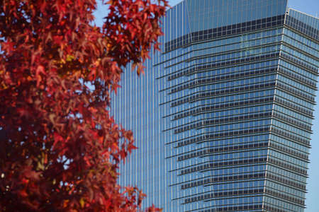 Milan, Lombardy, Italy: modern buildings at Porta Nuova