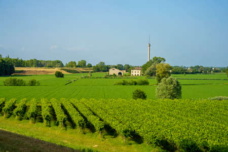 Rural landscape near Suzzara, in Mantua province, Lombardy, Italy at summer