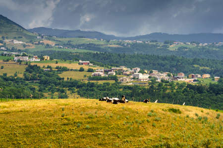 Summer landscape in Lessinia near Sant Anna d Alfaedo, Verona province, Veneto, Italyの写真素材