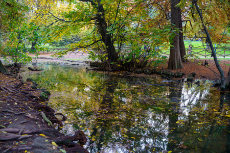 Milan, Lombardy, Italy: the Sempione park in Novemberの写真素材