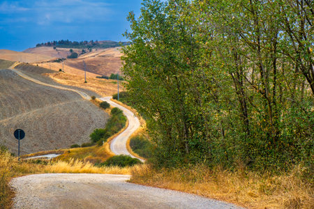Summer landscape in Val d Orcia near Asciano, Siena province, Tuscany, Italyの写真素材