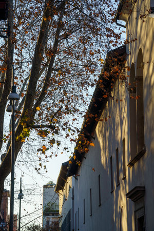 Milan, Lombardy, Italy: historic buildings along via Anconaの写真素材