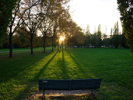 Sunset at Parco Nord, Milan, Lombardy, Italy, in autumnの写真素材
