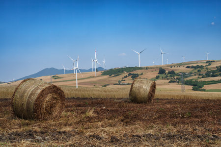 Rural landscape in Avellino province, Italy, at summer