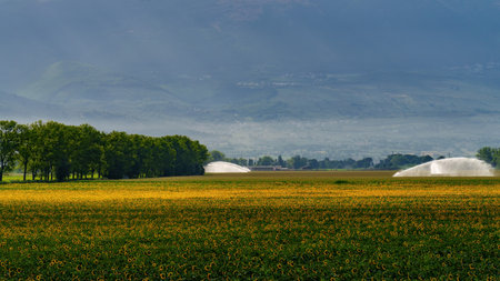 Rural landscape near Foligno and Montefalco, Perugia province, Umbria, Italy, at summerの写真素材