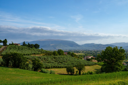 Rural landscape near Foligno and Montefalco, Perugia province, Umbria, Italy, at summerの写真素材
