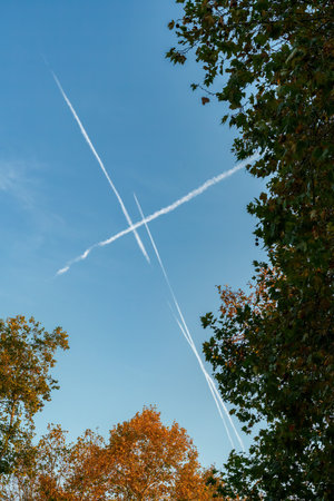 Parco Sempione, public park in Milan, Lombardy, Italy, in Novemberの写真素材