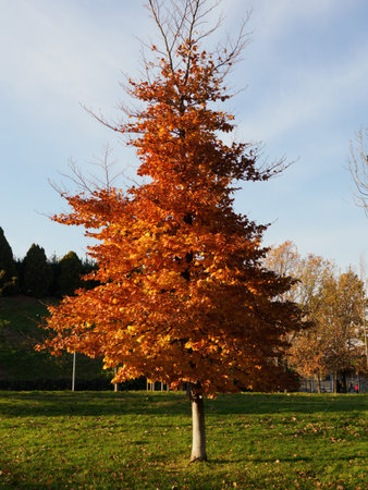 Modern park of Portello in Milan, Lombardy, Italy, at December