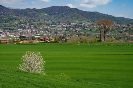 Landscape near Imbersago, Lecco province, Lombardy, Italy, at springtimeの写真素材