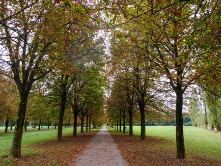 Parco Nord, public park in Milan, Lombardy, Italy, in Septemberの写真素材