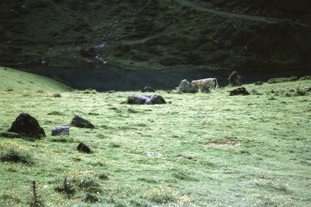 Mountain landscape along the road to Tourmalet pass, Hautes-Pyrenees, Franceの写真素材