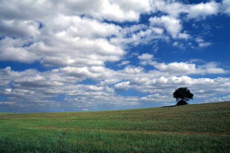 Road to Albi, Occitanie, France, at summerの写真素材