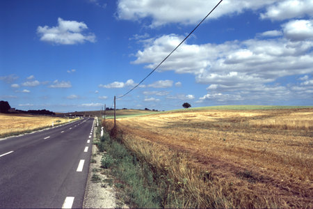 Road to Albi, Occitanie, France, at summerの写真素材