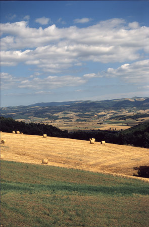 Road to Albi, Occitanie, France, at summerの写真素材