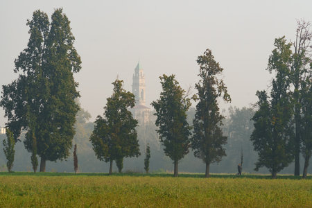 Path of the Monza park, Brianza, Lombardy, Italy, at Novemberの写真素材
