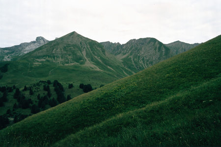 Mountain landscape along the road to Col d Allos, Alpes de Haute Provence, Provence-Alpes Cote d Azur, France, at summerの写真素材