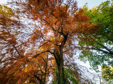 Montanelli Gardens, public park in Milan, Lombardy, Italy, at November