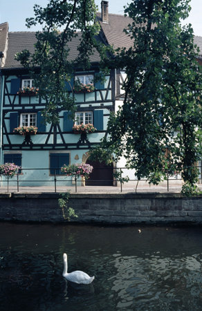 Colmar, Alsace, Grand Est region, France: exterior of typical half-timbered housesの写真素材
