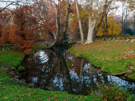 Autumn at Parco Sempione, public park in Milan, Lombardy, Italyの写真素材