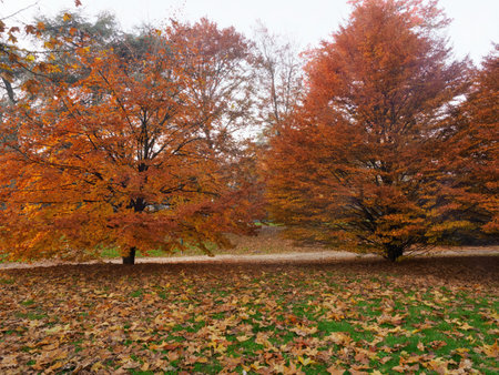 Autumn at Parco Sempione, public park in Milan, Lombardy, Italyの写真素材