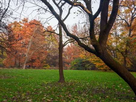 Autumn at Parco Sempione, public park in Milan, Lombardy, Italyの写真素材