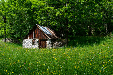 Hut in the Stura di Demonte valley, Cuneo province, Piedmont, Italy, at springtimeの写真素材