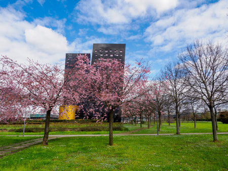 Rho Fiera park near Milan, Lombardy, Italy, at Marchの写真素材