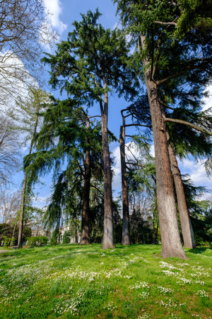 Parco Sempione, historic park in Milan, Italy, at March