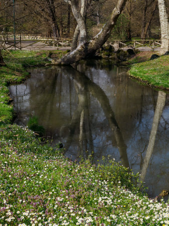 Parco Sempione, historic park in Milan, Italy, at Marchの写真素材