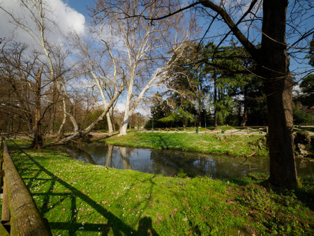 Parco Sempione, historic park in Milan, Italy, at Marchの写真素材
