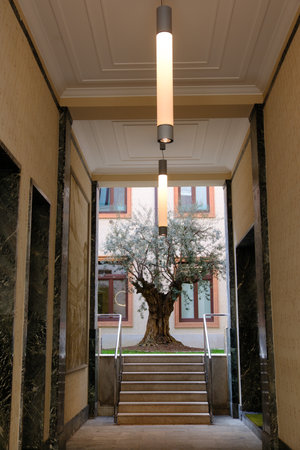 Entryway of old residential building along via Petrarca in Milan, Lombardy, Italy, with olive treeの写真素材