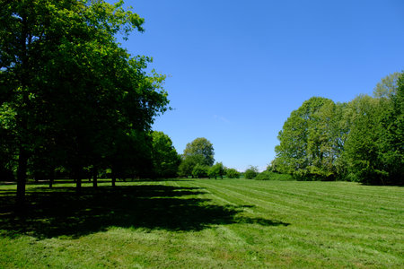 Grugnotorto park near Milan, Lombardy, Italy in Aprilの写真素材