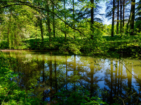Pond in the Monza park, Brianza, Lombardy, Italy, in Aprilの写真素材