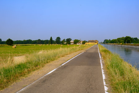 Cycle path along the Naviglio Grande near Gaggiano, Milan, Lombardy, Italy, in Juneの写真素材
