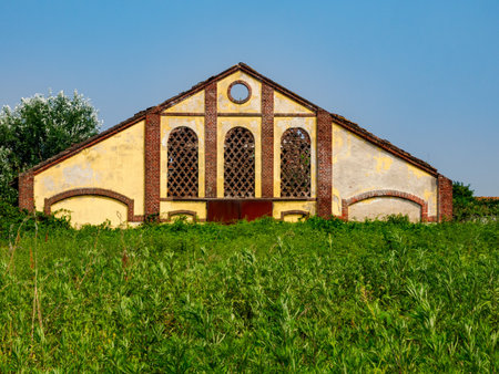 Country landscape near Mortara, Pavia, Lombardy, Italy at Juneの写真素材