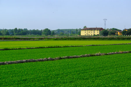Rural landscape near Terranova, Casale Monferrato, Piedmont, Italyの写真素材
