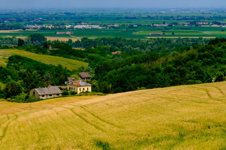 Rural landscape near Casale Monferrato and Ozzano, Alessandria province, Piedmont, Italy