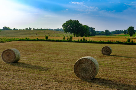 Rural landscape in Monferrato near Quargnento and Fubine, Alessandria province, Piedmont, Italyの写真素材