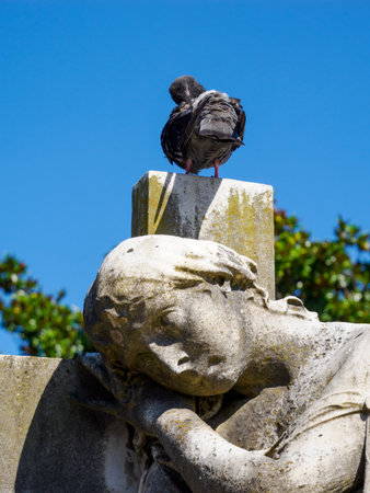 The historic cemetery known as Cimitero Monumentale, Milan, Lombardy, Italy: a tombの写真素材